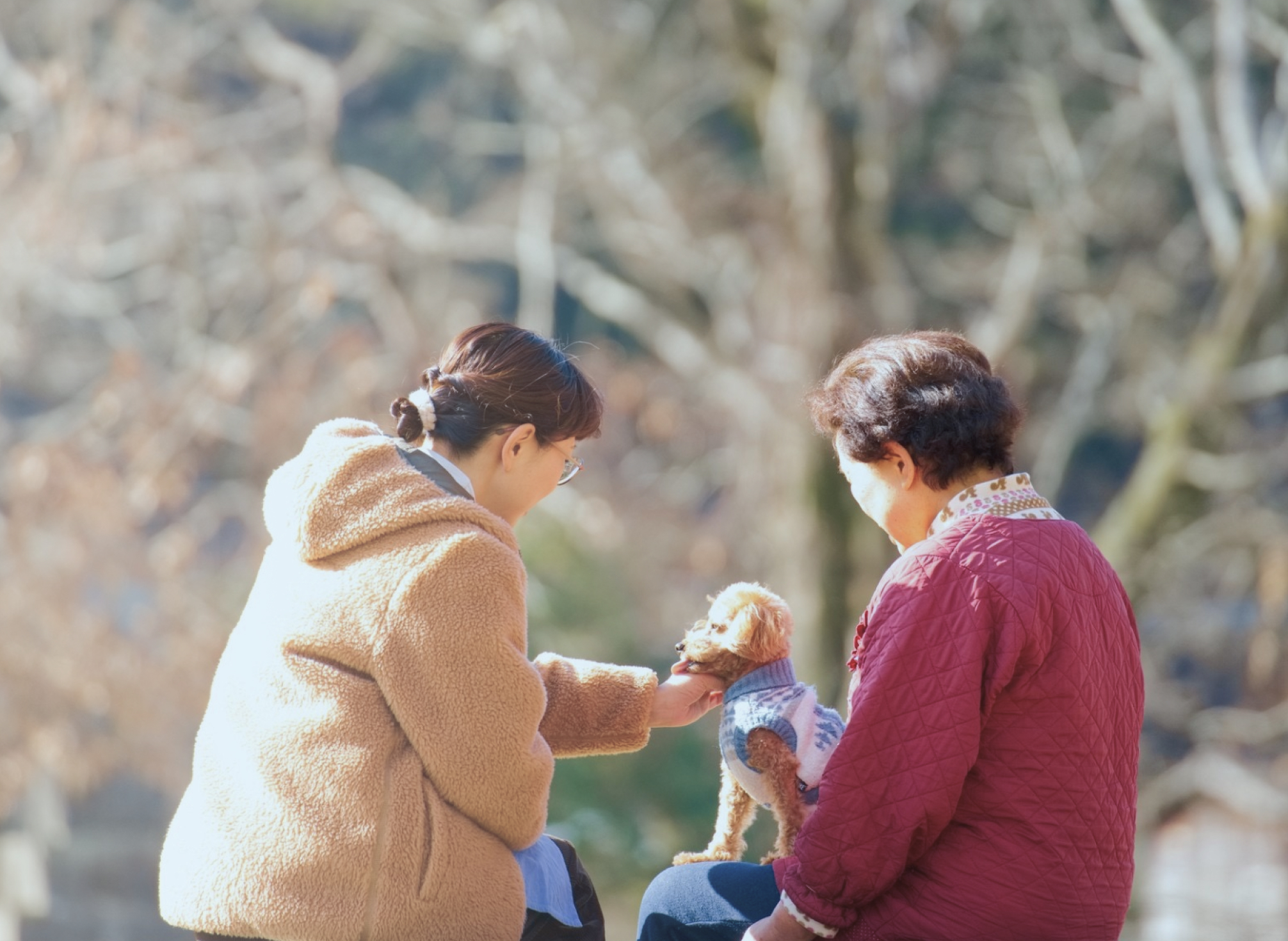 高齢の女性と看護師が座って犬を可愛がっている様子